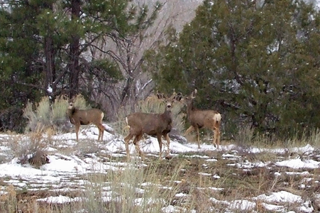 Telluride 2009 - Day 3 - 30.JPG